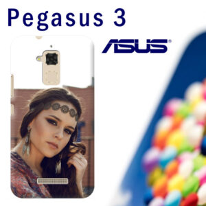 cover personalizzata pegasus 3